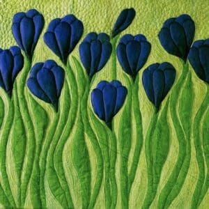 Crocus Rising
